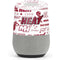 NBA Miami Heat Historic Blast Google Home Skin