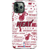 NBA Miami Heat Historic Blast iPhone 12 Pro Max Impact Case