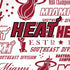 NBA Miami Heat Historic Blast iPhone XR Skin