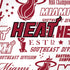 NBA Miami Heat Historic Blast iPhone XS Skin