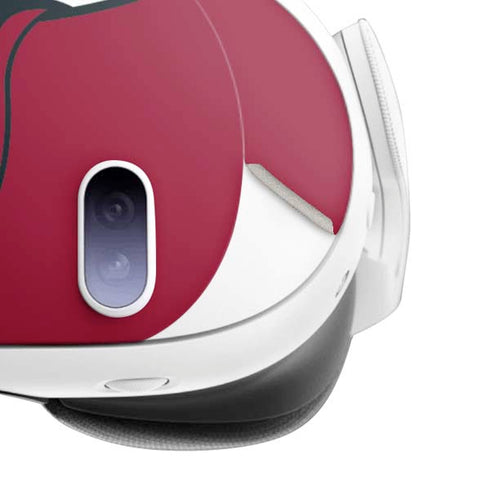 NBA Miami Heat Large Logo Meta Quest 3 Skin