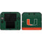 University of Miami Hurricanes Flag Nintendo 2DS Skin