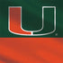 University of Miami Hurricanes Flag Nintendo 2DS XL (2017) Skin