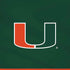 University of Miami Hurricanes Flag iPhone XS Skin