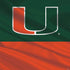 University of Miami Hurricanes Flag PS4 Pro/Slim Controller Skin