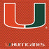 University of Miami Hurricanes Jersey Nintendo 2DS XL (2017) Skin