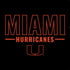 University of Miami Hurricanes PS4 Slim Skin