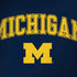 University of Michigan M Dell Alienware Skin