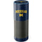 Michigan M Amazon Echo Plus Skin
