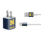 Michigan M Logo iPhone Charger (5W USB) Skin