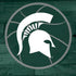 Michigan State University Basketball Courtside iPhone XR Skin