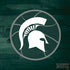 Michigan State University Basketball Courtside PS4 Controller Skin