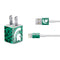 Michigan State University Spartans Digital Pixels iPhone Charger (5W USB) Skin