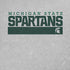 Michigan State University Spartans Marquee iPhone XS Skin