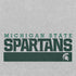 Michigan State University Spartans Marquee PS4 Console and Controller Bundle Skin