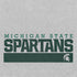 Michigan State University Spartans Marquee PS4 Console Skin