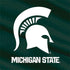 Michigan State University Away Grey Jersey Nintendo 2DS XL (2017) Skin