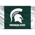 Michigan State University Away Grey Jersey Dell Vostro Skin
