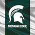 Michigan State University Away Grey Jersey PS4 Console and Controller Bundle Skin