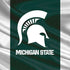 Michigan State University Away Grey Jersey PS4 Pro/Slim Controller Skin