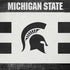 Michigan State University Black and White Stripes iPhone XR Skin