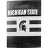 Michigan State University Black and White Stripes PS5 Bundle Skin