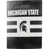Michigan State University Black and White Stripes PS5 Digital Edition Console Skin