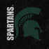 Michigan State University Bold Spartans Logo PS4 Controller Skin