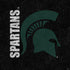 Michigan State University Bold Spartans Logo PS4 Pro/Slim Controller Skin