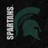 Michigan State University Bold Spartans Logo PS4 Slim Bundle Skin