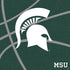 Michigan State University Green Basketball PS4 Pro/Slim Controller Skin