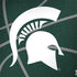 Michigan State University Green Basketball Surface Book 2 13.5in Skin