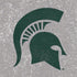 Michigan State University Grey Spartans Logo Nintendo 2DS XL (2017) Skin