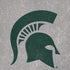 Michigan State University Grey Spartans Logo iPhone XR Pro Case