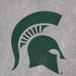 Michigan State University Grey Spartans Logo iPhone XR Skin
