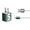 Michigan State University Spartans S iPhone Charger (5W USB) Skin