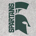 Michigan State University Spartans Half Logo Nintendo 2DS XL (2017) Skin