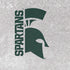 Michigan State University Spartans Half Logo PS4 Console and Controller Bundle Skin