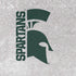 Michigan State University Spartans Half Logo PS4 Slim Bundle Skin
