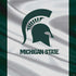 Michigan State University Spartans Jersey PS4 Console and Controller Bundle Skin