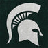 Michigan State University Spartans Logo Nintendo 2DS XL (2017) Skin