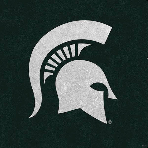 Michigan State University Spartans Logo PS4 Controller Skin