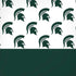 Michigan State University Spartans MSU Split iPhone XR Pro Case