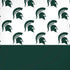 Michigan State University Spartans MSU Split iPhone XS Skin