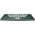Michigan State University Spartans Nation Universal Laptop 17in (13.8 x 10in) Skin