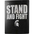 Michigan State University Stand and Fight PS5 Bundle Skin