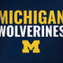 University of Michigan Wolverines M Dell Alienware Skin