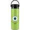 Disney Monsters Inc. Mike’s Face Hydro Flask 20oz Wide Mouth Skin