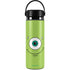 Disney Monsters Inc. Mike’s Face Hydro Flask 20oz Wide Mouth Skin