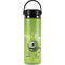 Disney Monsters Inc. Mike Portrait Hydro Flask 20oz Wide Mouth Skin